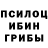 Псилоцибиновые грибы Magic Shrooms SurfK9