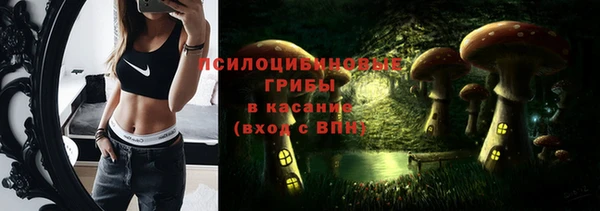 а пвп мука Белокуриха
