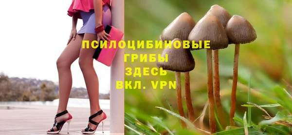 а пвп мука Белокуриха