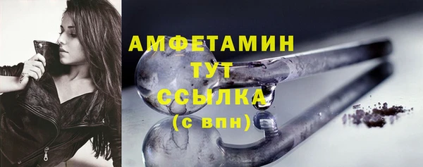 амф Богданович